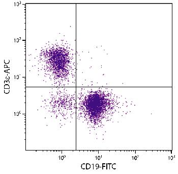 Rat Anti-Mouse CD3e-APC