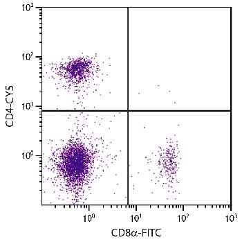 Rat Anti-Mouse CD4-CY5