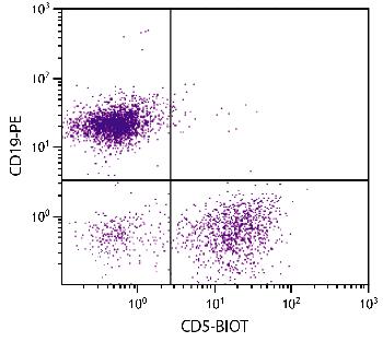 Rat Anti-Mouse CD5-Biotin Conjugated