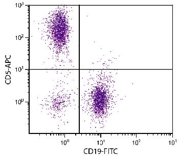 Rat Anti-Mouse CD5-APC