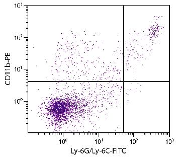 Rat Anti-Mouse CD11b-PE