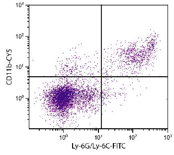 Rat Anti-Mouse CD11b-CY5
