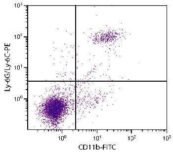 Rat Anti-Mouse CD11b-FITC