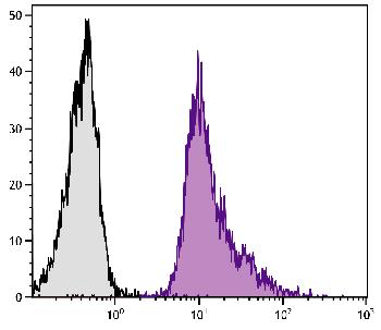 Rat Anti-Mouse CD18-Biotin Conjugated