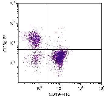 Rat Anti-Mouse CD19-FITC