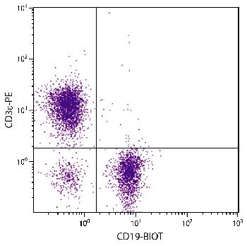 Rat Anti-Mouse CD19-Biotin Conjugated