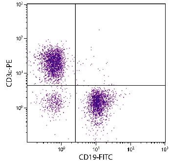 Mouse Anti-Mouse CD19-FITC