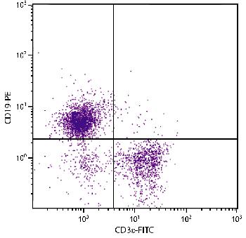 Mouse Anti-Mouse CD19-PE