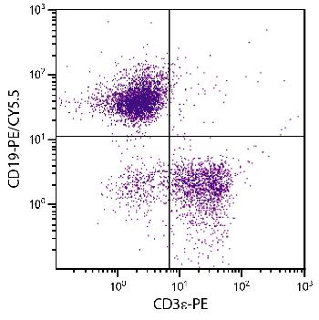 Mouse Anti-Mouse CD19-PE/CY5.5(Discontinued)