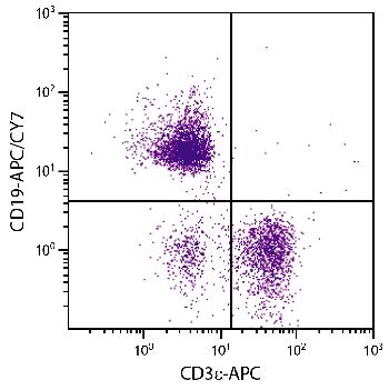 Mouse Anti-Mouse CD19-APC/CY7
