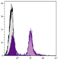 Rat Anti-Mouse CD22-Biotin Conjugated