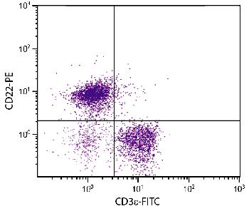 Rat Anti-Mouse CD22-PE