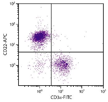 Rat Anti-Mouse CD22-APC