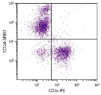 Rat Anti-Mouse CD24-R-PE/CY5