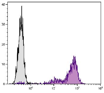 Rat Anti-Mouse CD25-Biotin Conjugated