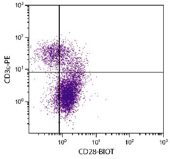 Hamster Anti-Mouse CD28-Biotin Conjugated