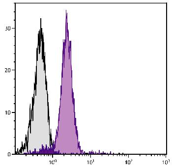 Rat Anti-Mouse CD31-Biotin Conjugated