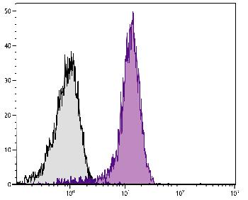 Rat Anti-Mouse CD31-PE/CY7