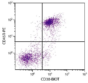 Rat Anti-Mouse CD38-Biotin Conjugated