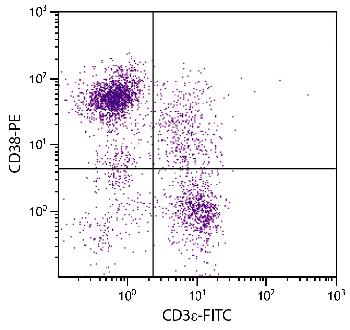 Rat Anti-Mouse CD38-PE
