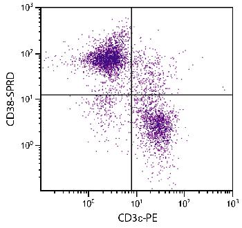 Rat Anti-Mouse CD38-R-PE/CY5