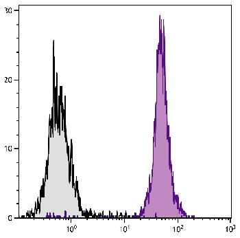 Rat Anti-Mouse CD45-Biotin Conjugated