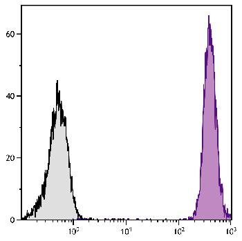 Rat Anti-Mouse CD45-PE/Texas Red