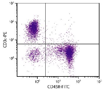 Rat Anti-Mouse CD45R-FITC