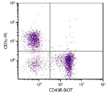 Rat Anti-Mouse CD45R-Biotin Conjugated