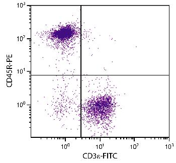 Rat Anti-Mouse CD45R-PE