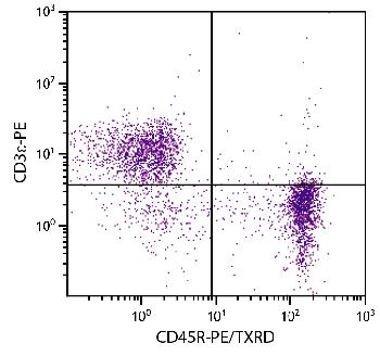 Rat Anti-Mouse CD45R-PE/Texas Red