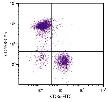 Rat Anti-Mouse CD45R-CY5