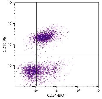 Rat Anti-Mouse CD54-Biotin Conjugated