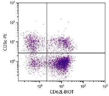 Rat Anti-Mouse CD62L-Biotin Conjugated