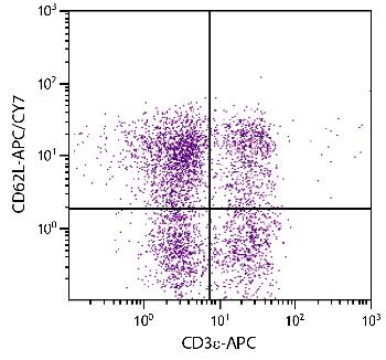 Rat Anti-Mouse CD62L-APC/CY7