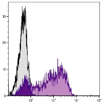 Hamster Anti-Mouse CD69-Biotin Conjugated