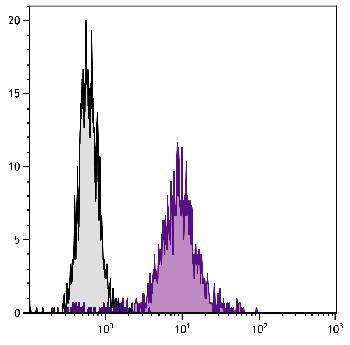 Rat Anti-Mouse CD71-Biotin Conjugated