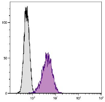 Rat Anti-Mouse CD80-Biotin Conjugated