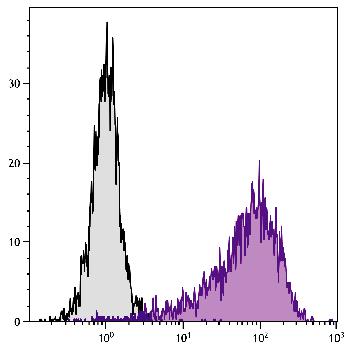 Rat Anti-Mouse Ly-6A/E-Biotin Conjugated