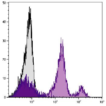 Rat Anti-Mouse Ly-6C-Biotin Conjugated