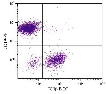 Hamster Anti-Mouse TCRb-Biotin Conjugated