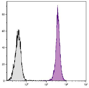 Mouse Anti-Mouse CD45.1-Biotin Conjugated