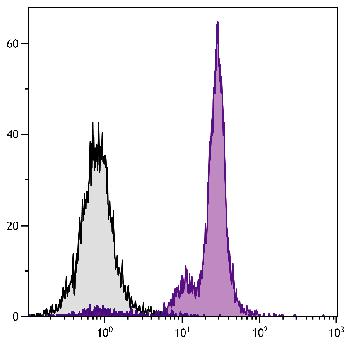 Mouse Anti-Mouse CD45.2-Biotin Conjugated