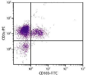 Hamster Anti-Mouse CD103-FITC