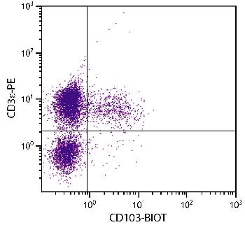 Hamster Anti-Mouse CD103-Biotin Conjugated