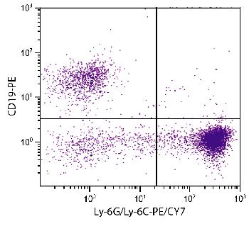 Rat Anti-Mouse Ly-6G/Ly-6C-PE/CY7