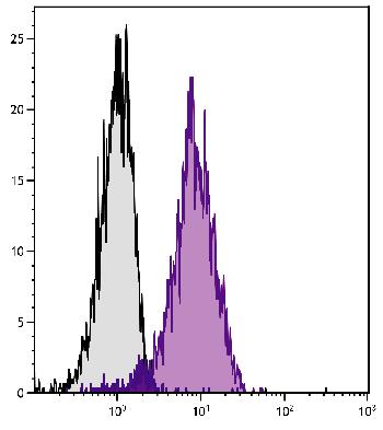 Rat Anti-Mouse CD102-Biotin Conjugated