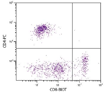 Mouse Anti-Feline CD8-Biotin Conjugated