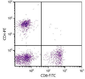 Mouse Anti-Feline CD4-PE