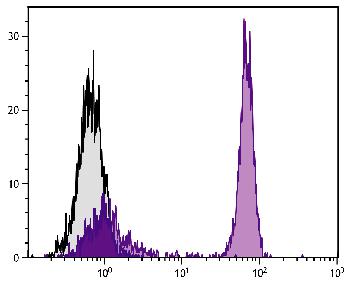 Mouse Anti-Chicken CD4-Biotin Conjugated